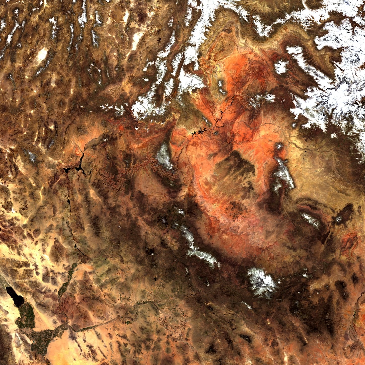 Fusing Art and Science for Environmental Change